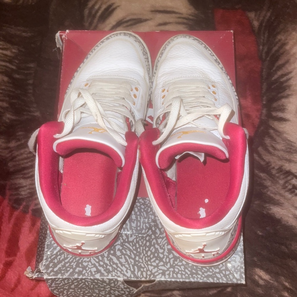 AIR JORDAN x NIKE cardinal 3s